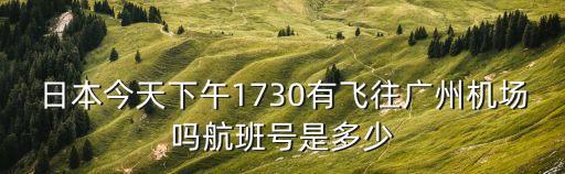 日本今天下午1730有飛往廣州機場嗎航班號是多少
