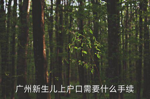 廣州新生兒上戶口需要什么手續