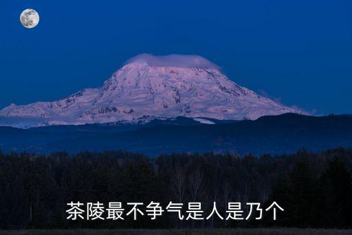東莞茶陵商會譚志貴，茶陵最不爭氣是人是乃個