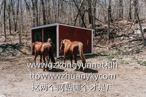 wwwgzkongyunnet和httpwwwzhuanykycom這兩個網(wǎng)站哪個才是廣