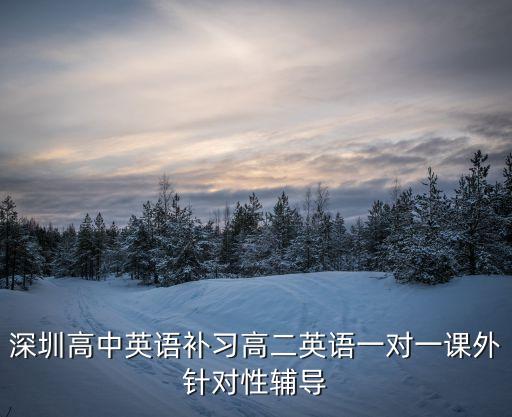 深圳高中英語補習高二英語一對一課外針對性輔導