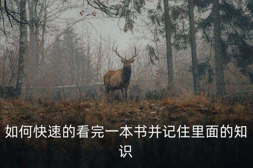 如何快速的看完一本書并記住里面的知識