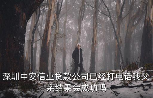 深圳中安信業貸款公司已經打電話我父親結果會成功嗎