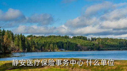 靜安醫療保險事務中心 什么單位
