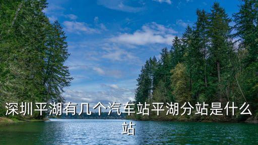 深圳平湖有幾個汽車站平湖分站是什么站