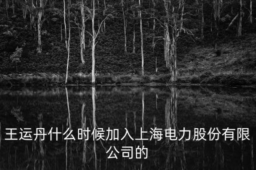 上海市電力公司董事，上海電科集團董事長什么級別