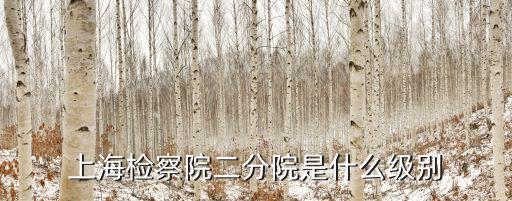 上海市檢一分院是什么級別，上海檢察院二分院是什么級別