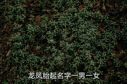  龍鳳胎起名字一男一女