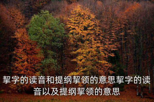 挈字的讀音和提綱挈領的意思挈字的讀音以及提綱挈領的意思