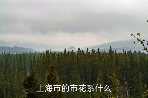 上海市的市花系什么