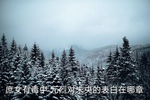 元烈,應用隨機過程林元烈