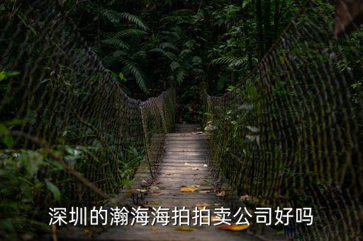 深圳的瀚海海拍拍賣公司好嗎