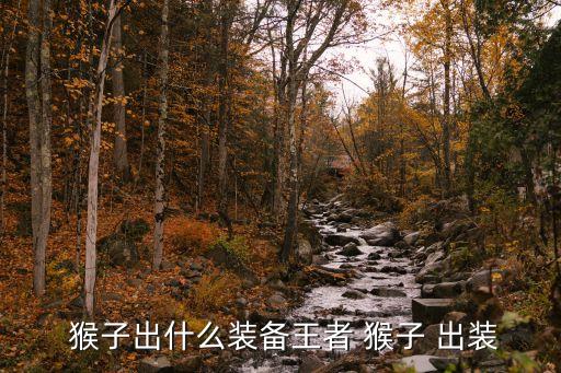 猴子出裝,新加坡大選】王者歸來