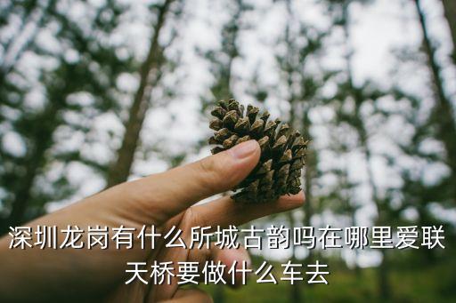 深圳劉氏宗親會在哪，深圳龍崗有什么所城古韻嗎在哪里愛聯(lián)天橋要做什么車去