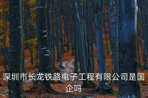 深圳市長龍鐵路電子工程有限公司是國企嗎