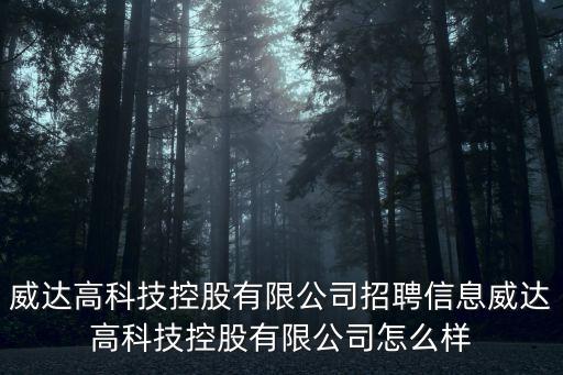 威達(dá)高科技控股有限公司招聘信息威達(dá)高科技控股有限公司怎么樣
