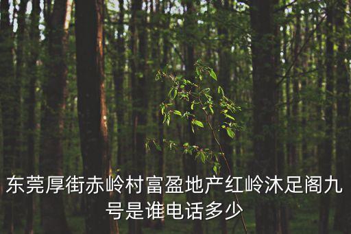 東莞厚街赤嶺村富盈地產紅嶺沐足閣九號是誰電話多少