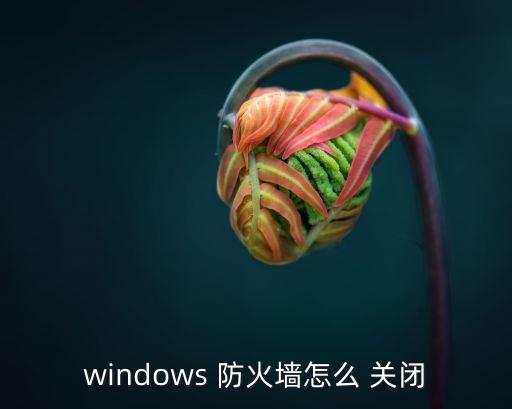 關閉網絡防火墻,網吧防火墻怎么關閉?win10怎么設置?
