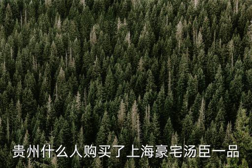 貴州什么人購買了上海豪宅湯臣一品