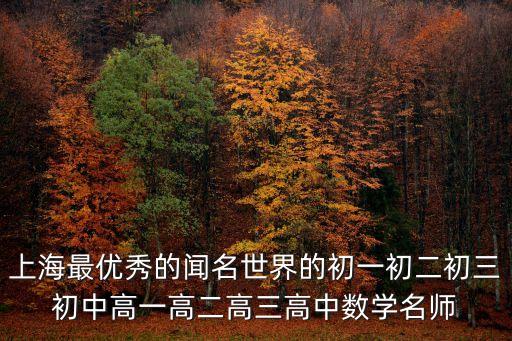 上海市優(yōu)秀教師顧亞龍，上海學(xué)大教育老師怎么樣高考數(shù)學(xué)提分班哪家最好