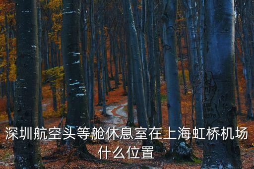 深圳航空頭等艙休息室在上海虹橋機場什么位置