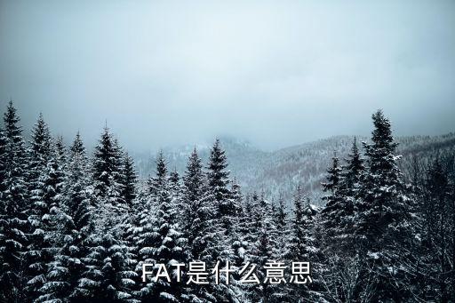 fat的意思,fat是怎么一回事?