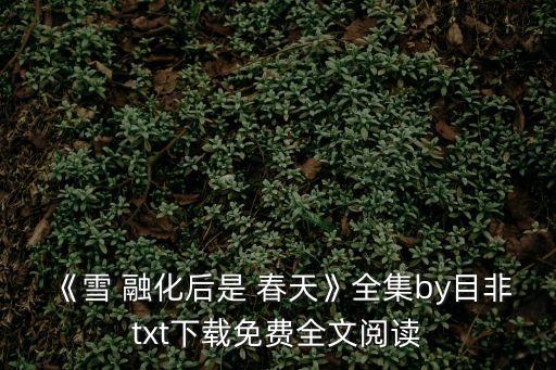 《雪 融化后是 春天》全集by目非txt下載免費全文閱讀