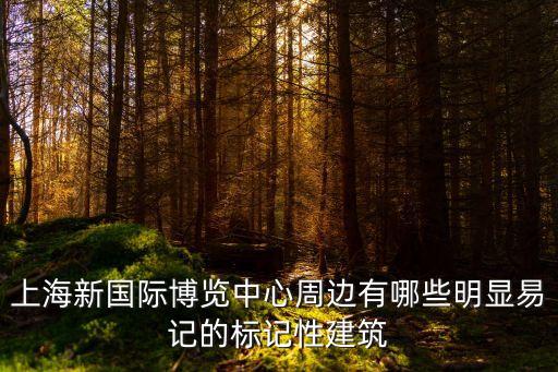 上海新國際博覽中心周邊有哪些明顯易記的標記性建筑