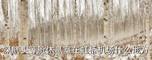 深圳76號頭等艙休息室，深航頭等艙休息室在虹橋機場什么地方