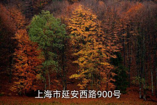 上海市科技處張全，上海舉行著次盛況主題是什么