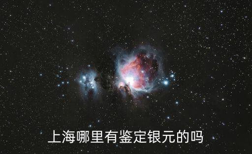 上海哪里有鑒定銀元的嗎
