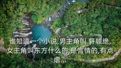 誰知道一個小說,男主角叫 軒轅絕,女主角叫東方什么的,是言情的,有點虐...