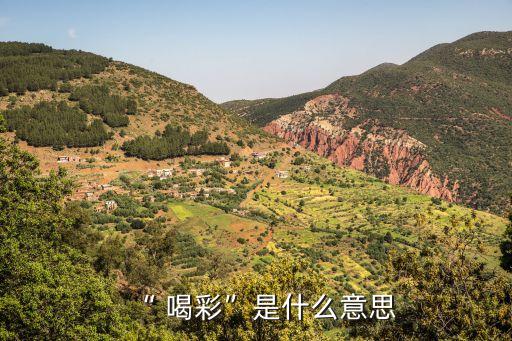 喝彩的近義詞,滿堂喝彩的近義詞