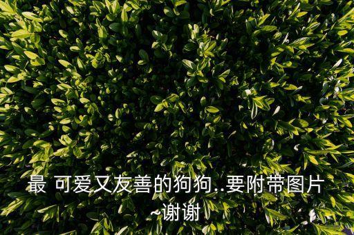 最 可愛又友善的狗狗..要附帶圖片~謝謝
