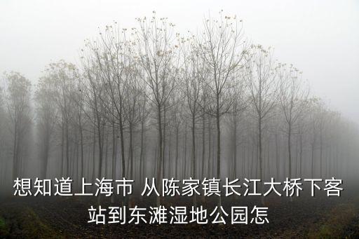 上海市陳家鎮東灘花園，想知道上海市 從陳家鎮長江大橋到東灘濕地公園怎么坐公交