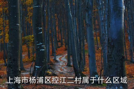 上海市楊浦區控江二村屬于什么區域