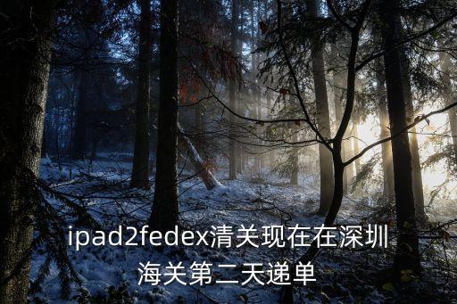 ipad2fedex清關現在在深圳海關第二天遞單