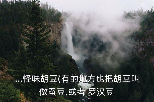 羅漢豆