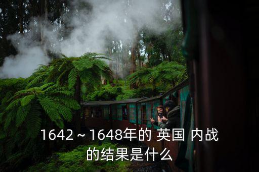 英國(guó)內(nèi)戰(zhàn),英國(guó)內(nèi)戰(zhàn)意義資本主義化了