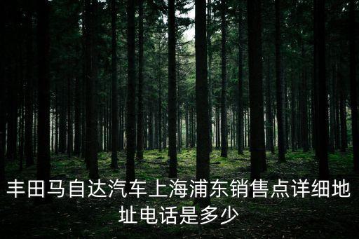 上海市S浦區(qū)獨(dú)立時(shí)代，納智捷上海4S店地址