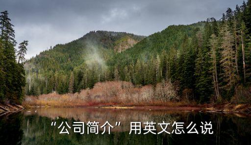 簡(jiǎn)介英語怎么說,幼兒園簡(jiǎn)介英語怎么說