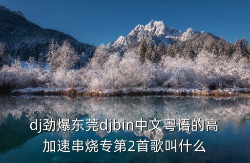 dj勁爆東莞djbin中文粵語的高加速串燒專第2首歌叫什么