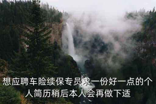 想應(yīng)聘車險(xiǎn)續(xù)保專員求一份好一點(diǎn)的個(gè)人簡歷稍后本人會再做下適