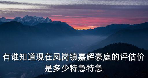 有誰知道現在鳳崗鎮嘉輝豪庭的評估價是多少特急特急