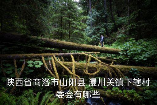 陜西省商洛市山陽縣 漫川關鎮下轄村委會有哪些