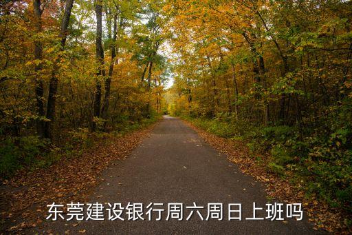 東莞建設(shè)銀行周六周日上班嗎