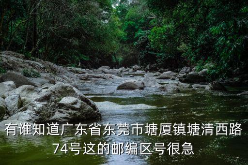 東莞塘廈石潭埔唐塘清西路，在沙井中心客運站到東莞市塘廈鎮石潭布塘清西路怎么坐車