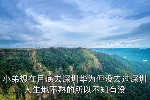 小弟想在月底去深圳華為但沒去過深圳人生地不熟的所以不知有沒