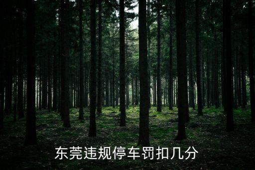 東莞違規(guī)停車罰扣幾分