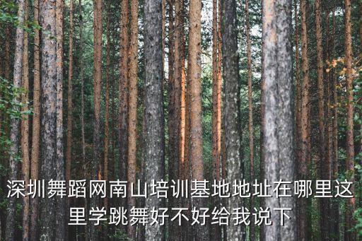 深圳舞蹈網(wǎng)南山培訓(xùn)基地地址在哪里這里學(xué)跳舞好不好給我說(shuō)下